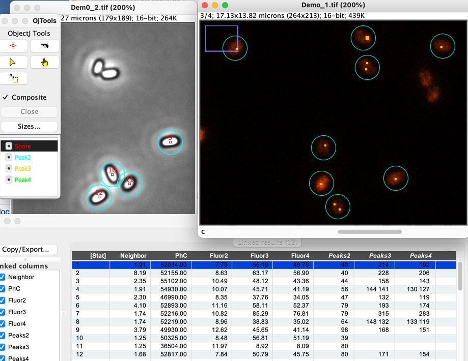 MacDown Screenshot