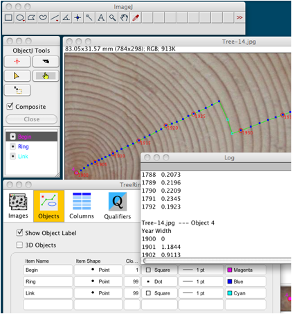 Tree Rings